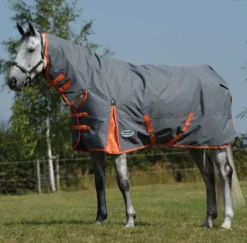 WeatherBeeta ComFiTec Classic Combo Neck Mediumweight -Online Equestrian Supplies 10004231 8 jpg