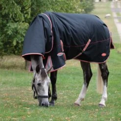 Weatherbeeta Comfitec Premier With Therapy-Tec Detach-A-Neck Medium Turnout Rug 15 Weatherbeeta Comfitec Premier With Therapy-Tec Detach-A-Neck Medium Turnout Rug -Online Equestrian Supplies 1001614006 wb cft prm thrpy dn med grazing image lifestyle1 1 9