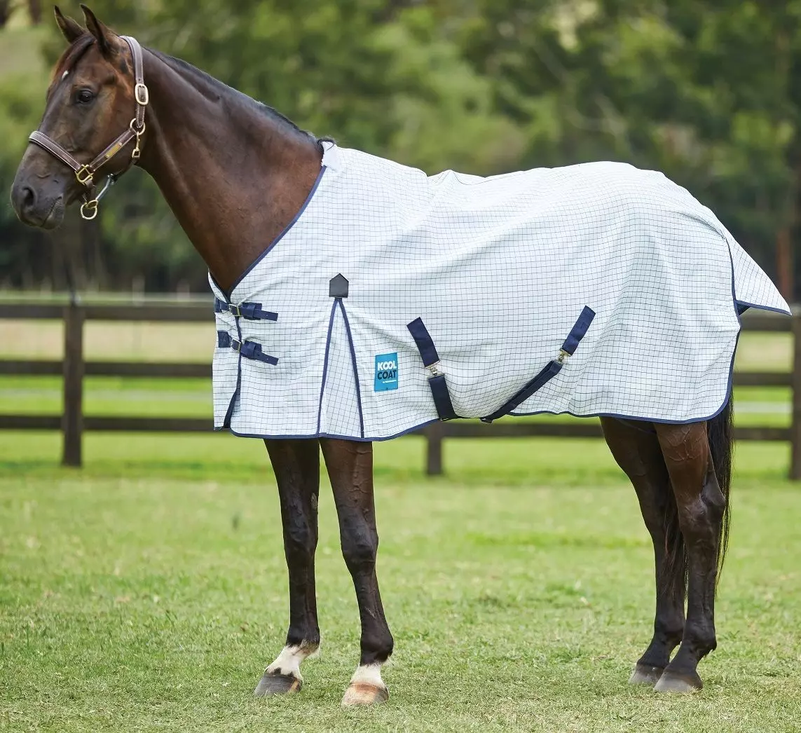 Weatherbeeta Kool Coat Classic With Surcingles III Standard Neck 1 Weatherbeeta Kool Coat Classic With Surcingles III Standard Neck