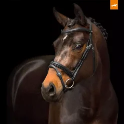 Schockemohle Anatomic Tokyo Select Removable Flash Bridle 11 Schockemohle Anatomic Tokyo Select Removable Flash Bridle -Online Equestrian Supplies 1101 00047 tokioselect black silver image 1 jpg