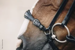 Schockemohle Anatomic Seattle Bridle