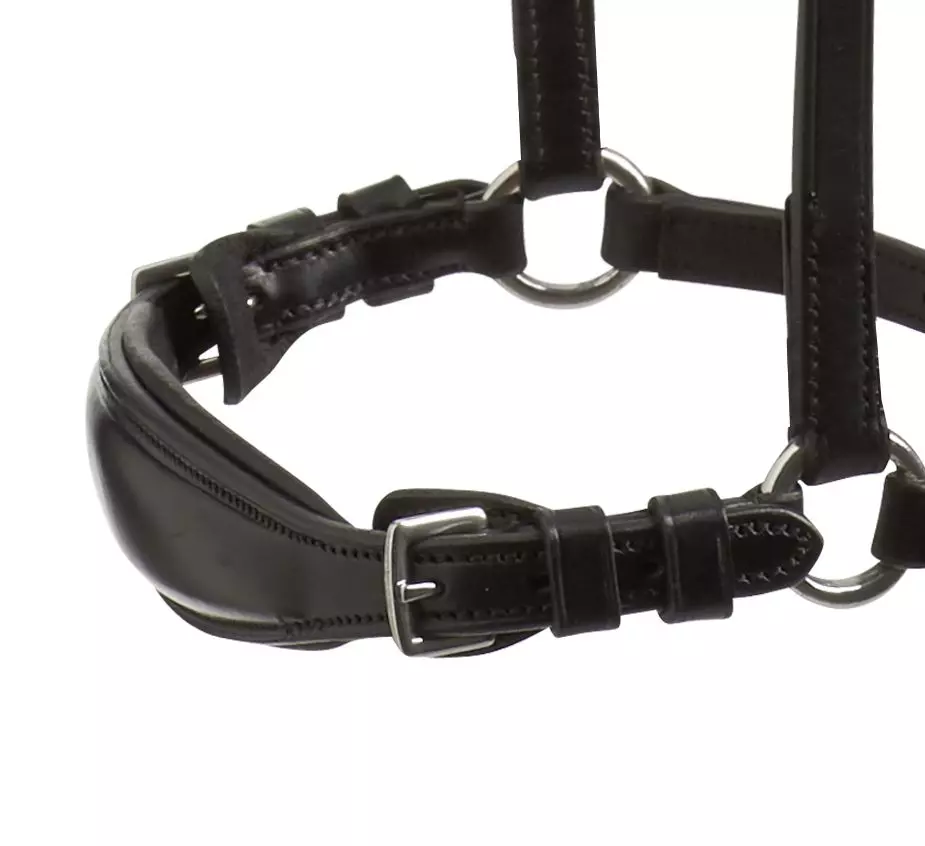 Schockemohle Anatomic Seattle Bridle 5 Schockemohle Anatomic Seattle Bridle - Image 5