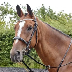 John Whitaker Lynton Snaffle Bridle With 2 Browbands