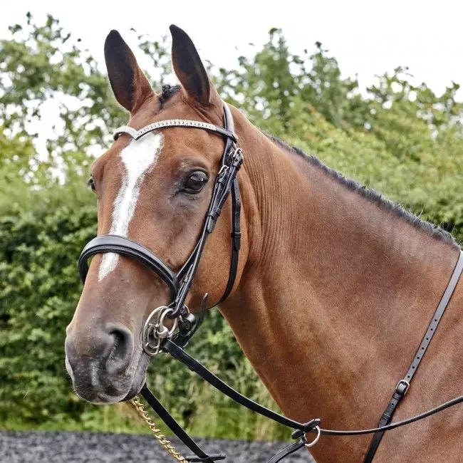 John Whitaker Lynton Snaffle Bridle With 2 Browbands 1 John Whitaker Lynton Snaffle Bridle With 2 Browbands