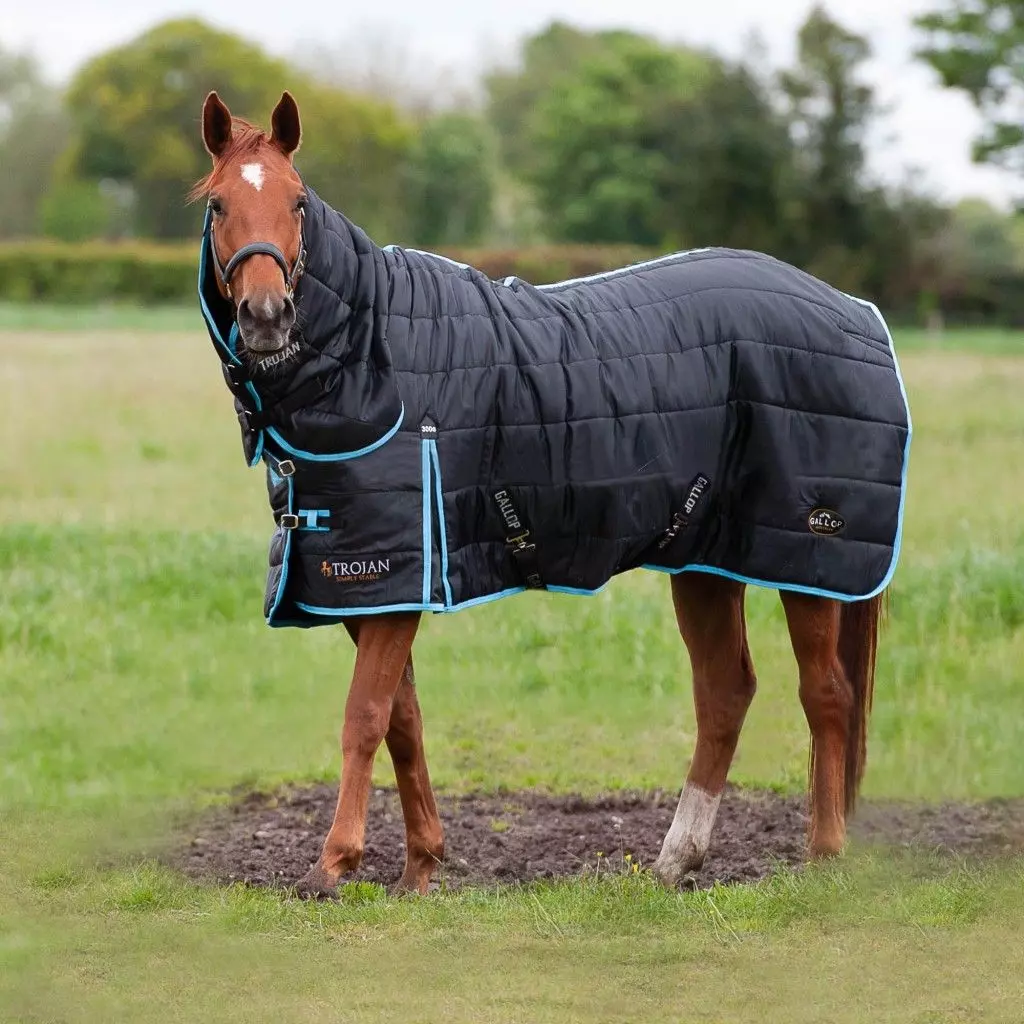Gallop Trojan 300 Combo Stable Rug 3 Gallop Trojan 300 Combo Stable Rug - Image 3