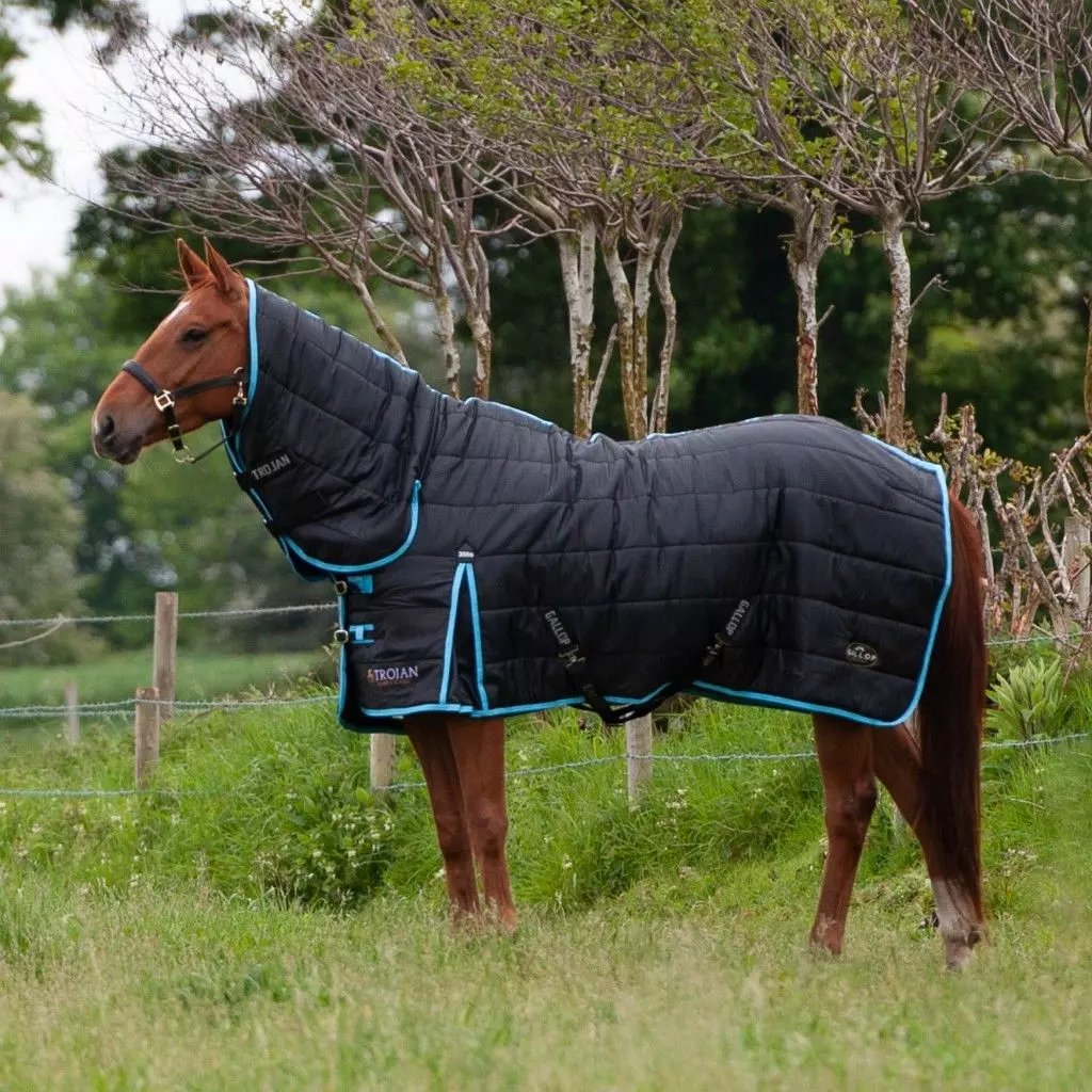 Gallop Trojan 300 Combo Stable Rug 13 Gallop Trojan 300 Combo Stable Rug - Image 13