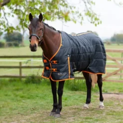 Gallop Trojan 100 Stable Rug -Online Equestrian Supplies 2100 2 1 4 jpg