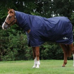 Saxon Defiant 600D Combo Medium Turnout Rug 29 Saxon Defiant 600D Combo Medium Turnout Rug -Online Equestrian Supplies 29af3a15f3931270c104aa79478eb315 15 13