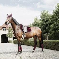 Kentucky Horsewear Kentucky Polar Fleece Bandage - 4 Pack 33 Kentucky Horsewear Kentucky Polar Fleece Bandage - 4 Pack -Online Equestrian Supplies 485a9151 564c22e810080218547dfa1c1093aa08 article photobook l 1 jpg