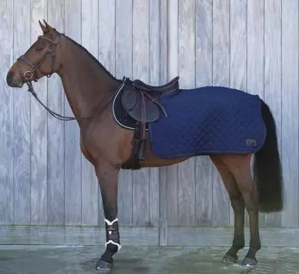 Kentucky Horsewear Kentucky Quarter Rug 160g 1 Kentucky Horsewear Kentucky Quarter Rug 160g