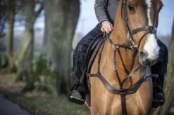 LeMieux DryTex Stormwear Waterproof Chaps