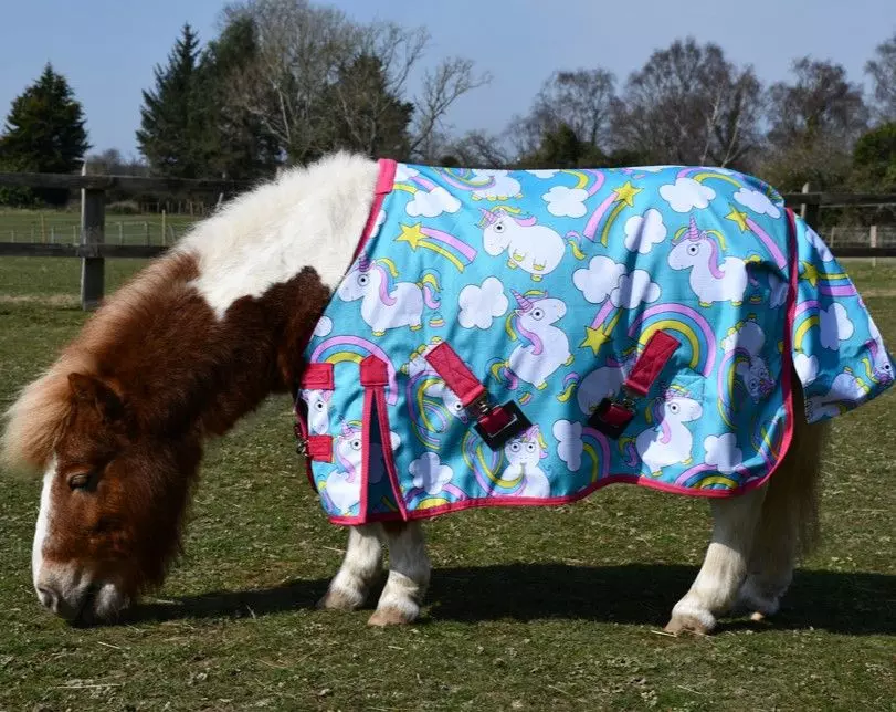 Rhinegold Unicorn Mini Torrent Outdoor Rug 2 Rhinegold Unicorn Mini Torrent Outdoor Rug - Image 2