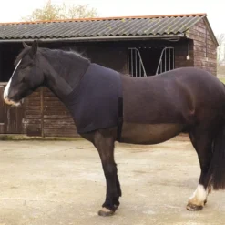 Rhinegold Satin Lycra Stretch Vest 5 Rhinegold Satin Lycra Stretch Vest -Online Equestrian Supplies 606 1 2 jpg