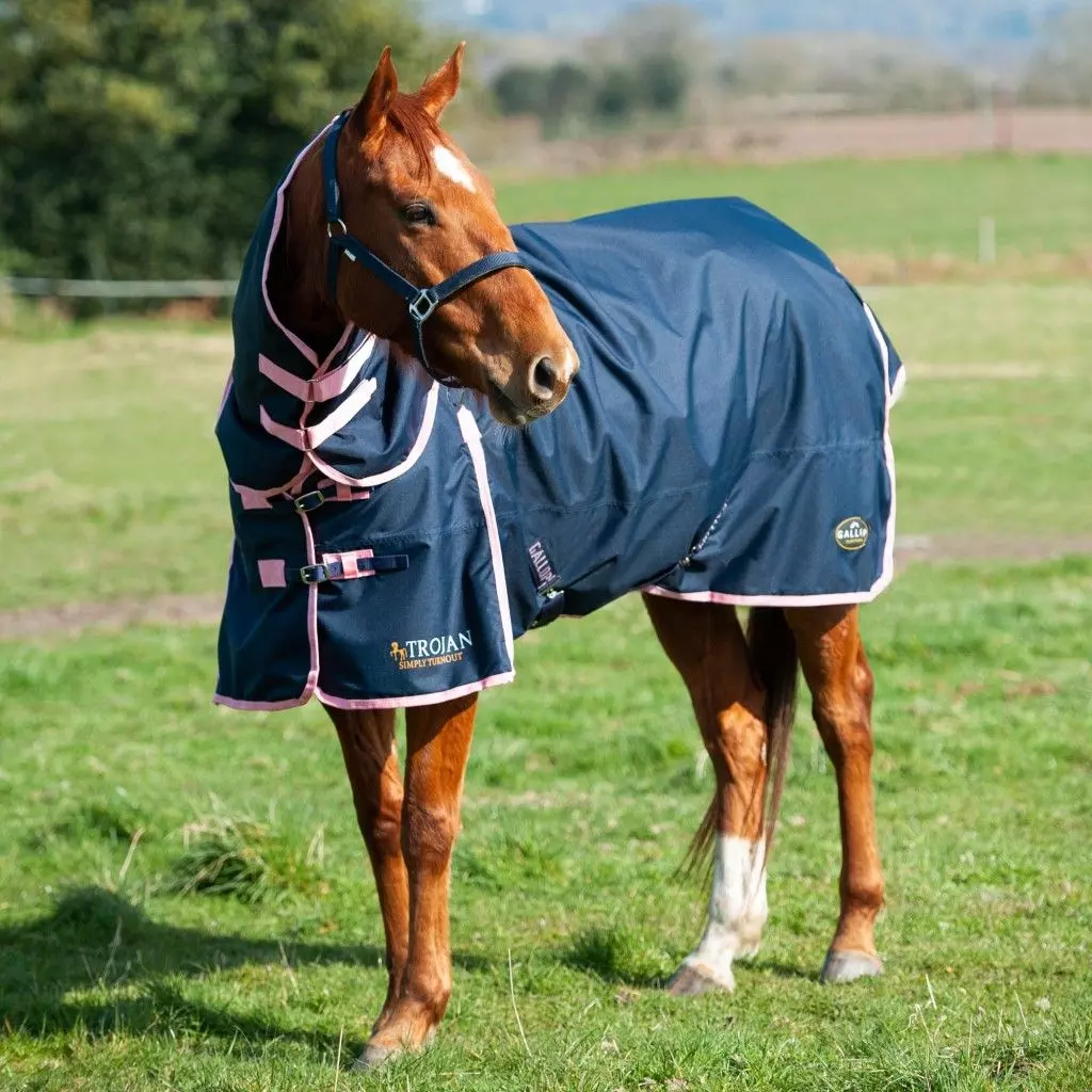 Gallop Trojan 50 Combo Turnout Rug 7 Gallop Trojan 50 Combo Turnout Rug - Image 7
