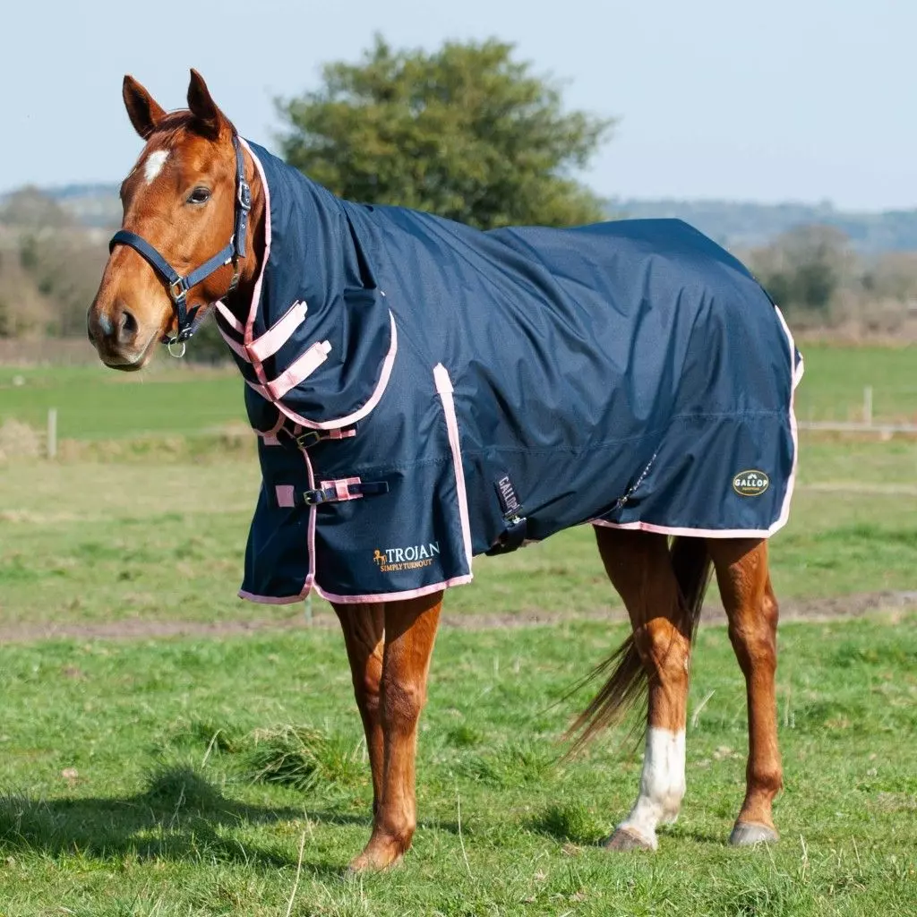 Gallop Trojan 50 Combo Turnout Rug 18 Gallop Trojan 50 Combo Turnout Rug - Image 18