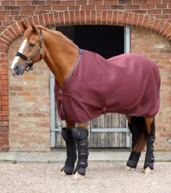 Premier Equine Airflow Cooler Rug 31 Premier Equine Airflow Cooler Rug -Online Equestrian Supplies airflow cooler rug burgundy 1 1 2 jpg