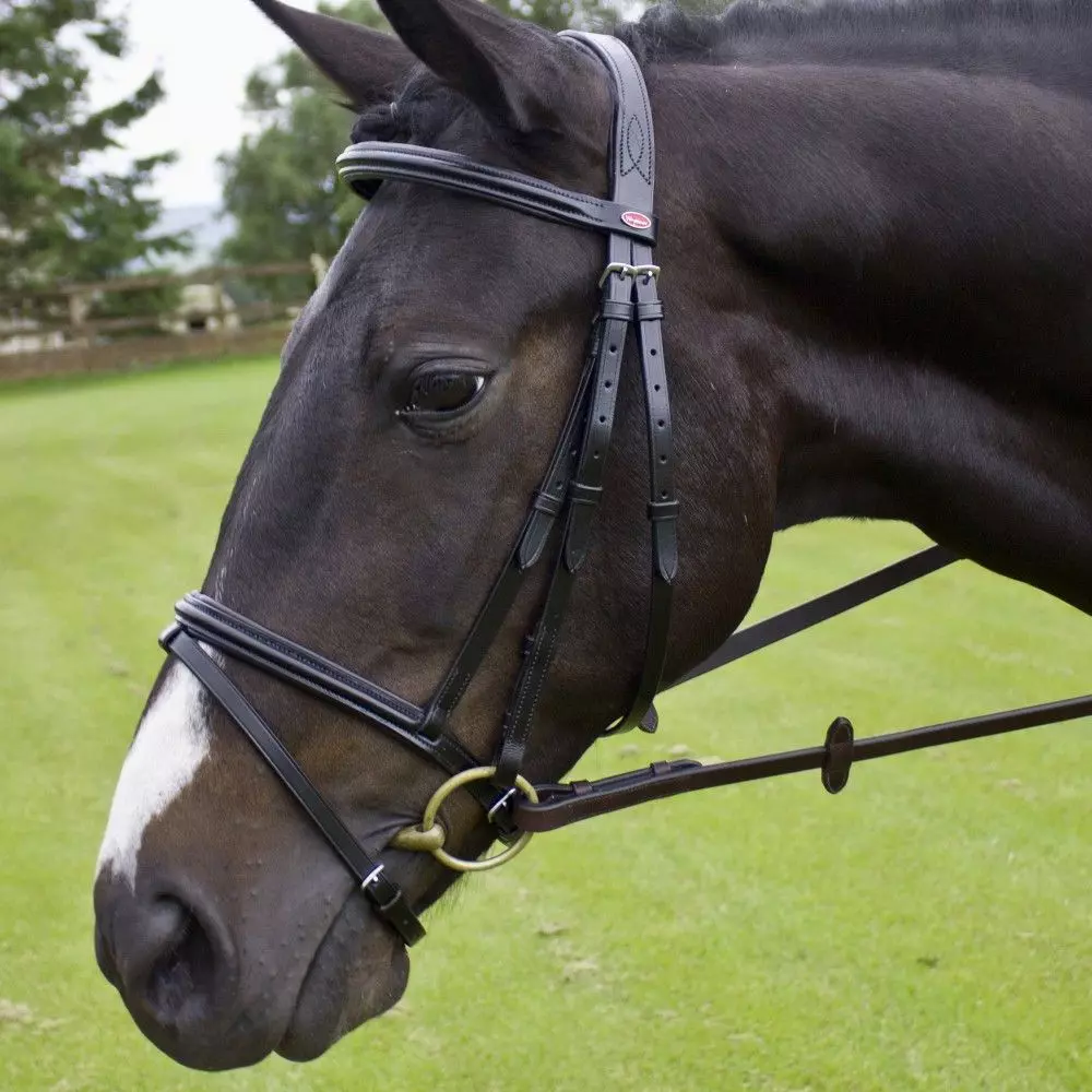 John Whitaker Barton Raised Flash Bridle In Rubber Reins 2 John Whitaker Barton Raised Flash Bridle In Rubber Reins - Image 2