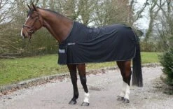 Bucas Panel Prize Cooler -Online Equestrian Supplies bucas panel prize cooler black silver 6