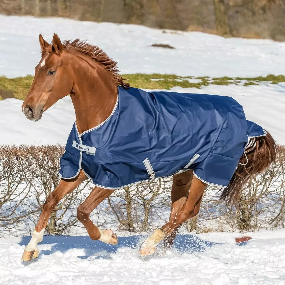 Bucas Freedom Turnout 300g 2 Bucas Freedom Turnout 300g - Image 2