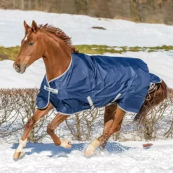 Bucas Freedom Turnout 300g 26 Bucas Freedom Turnout 300g -Online Equestrian Supplies bucas freedom turnout rug navy 8 jpg