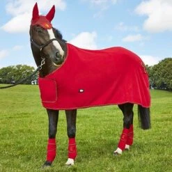 Elico Dartmoor Fleece Showing Rugs -Online Equestrian Supplies dartmoor set red 600x600 1 8