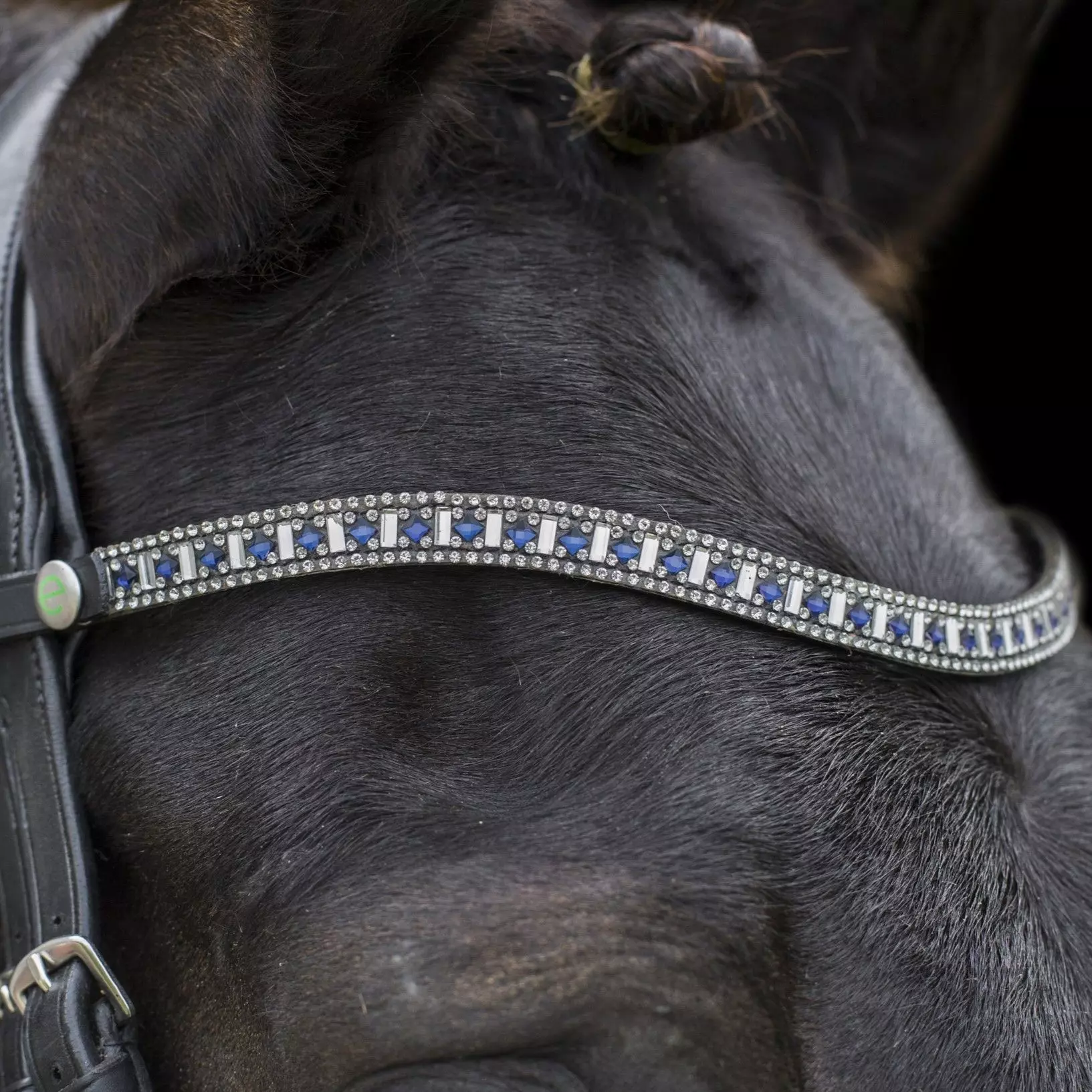 EcoRider Freedom Sapphire Browband 1 EcoRider Freedom Sapphire Browband