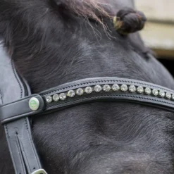 EcoRider Freedom Browband