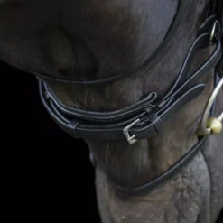 EcoRider Ecosoft Enigma Bridle