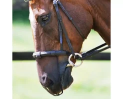 Equilibrium Net Relief Muzzle Net 7 Equilibrium Net Relief Muzzle Net -Online Equestrian Supplies equilibrium net relief muzzle net jpg