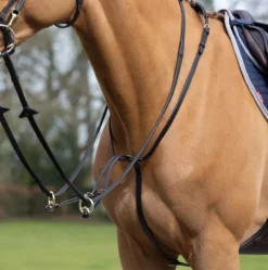 LeMieux Running Martingale -Online Equestrian Supplies g0a7444 3 jpg