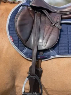 LeMieux Vector Stirrup Leathers 27 LeMieux Vector Stirrup Leathers -Online Equestrian Supplies g0a7492 1 3 jpg