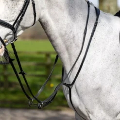 LeMieux Running Martingale