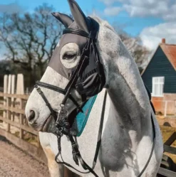 Fenwick Liquid Titanium Mask With Ears - Velcro 20 Fenwick Liquid Titanium Mask With Ears - Velcro -Online Equestrian Supplies greymaskears 1024x1024 2x 1 4 jpg