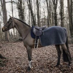 Kentucky Horsewear Kentucky Quarter Rug Heavy Fleece 25 Kentucky Horsewear Kentucky Quarter Rug Heavy Fleece -Online Equestrian Supplies heavy grey on horse 1