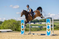 LeMieux Loire Classic GP Square 22 LeMieux Loire Classic GP Square -Online Equestrian Supplies it02955 lifestyle loireclassicgpsquare mist 1 1 jpg