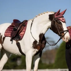 LeMieux Loire Classic GP Square 30 LeMieux Loire Classic GP Square -Online Equestrian Supplies it03282 lifestyle loireclassicgpsquare orchid 3 1 jpg