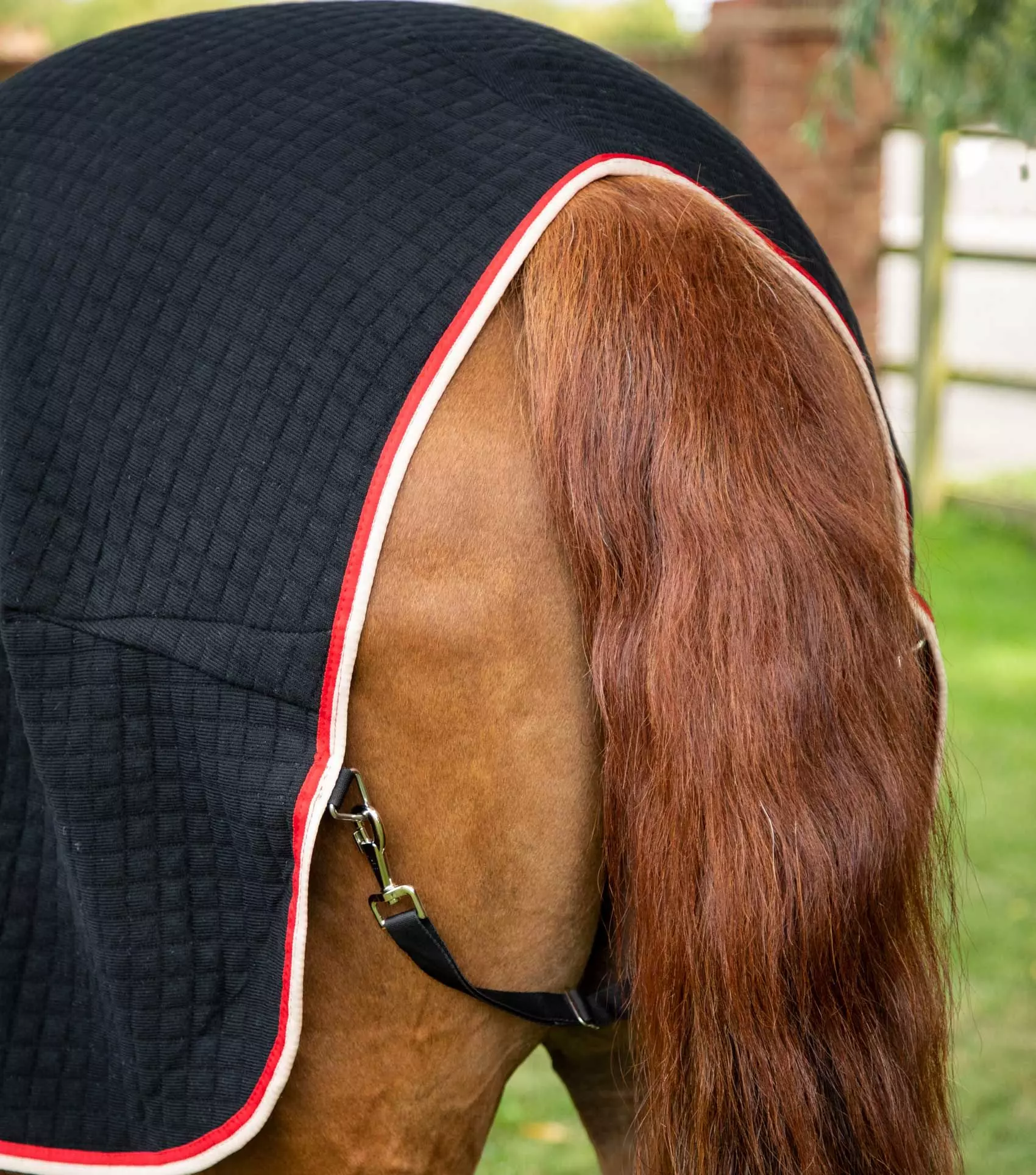 Premier Equine PremTex Horse Cooler Rug 5 Premier Equine PremTex Horse Cooler Rug - Image 5