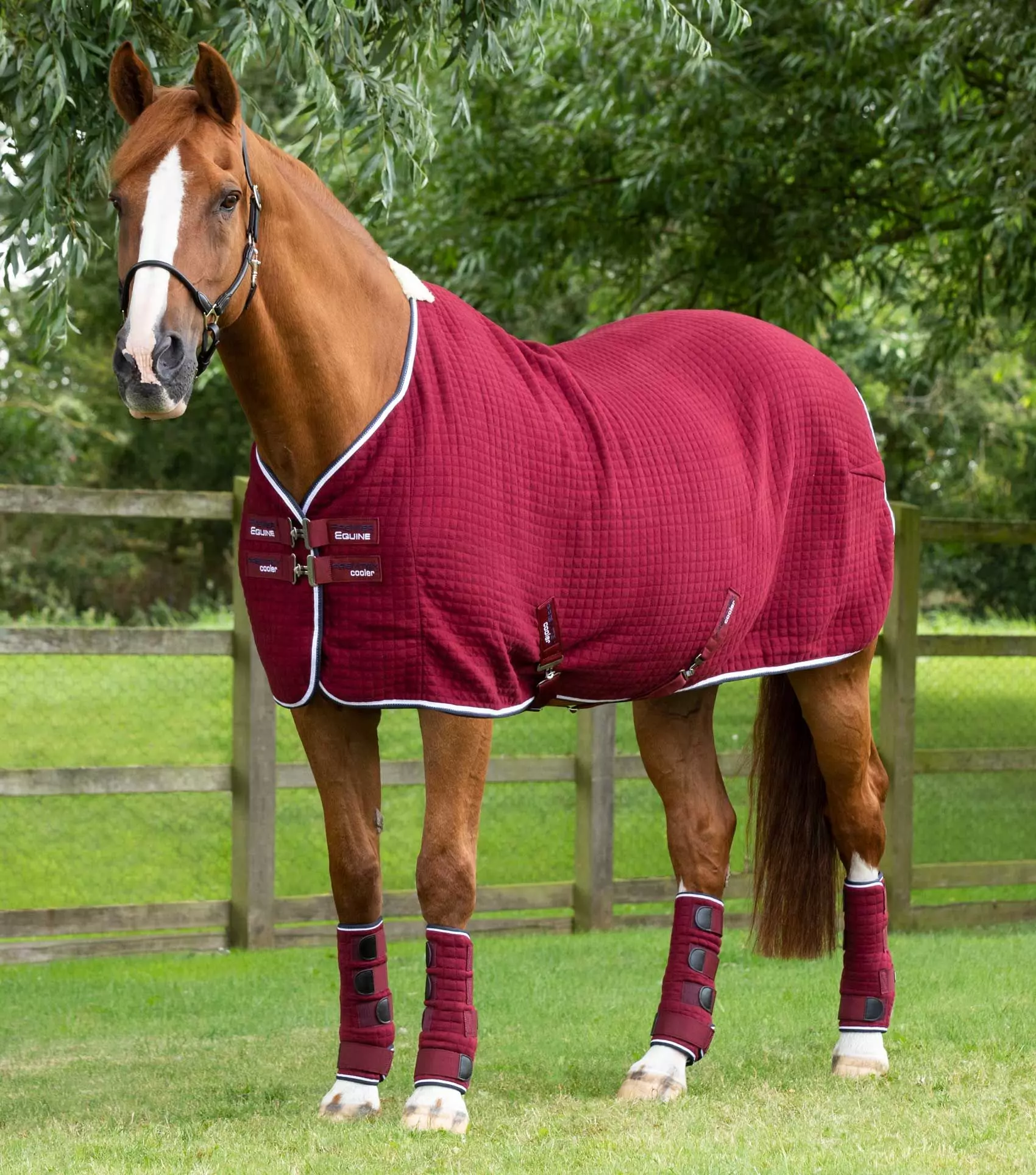 Premier Equine PremTex Horse Cooler Rug 13 Premier Equine PremTex Horse Cooler Rug - Image 13