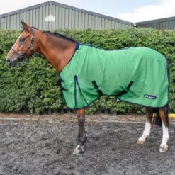 Whitaker R370 Allerton Cotton Sheet 21 Whitaker R370 Allerton Cotton Sheet -Online Equestrian Supplies r370 allerton green sq 600x600 1 3 jpg