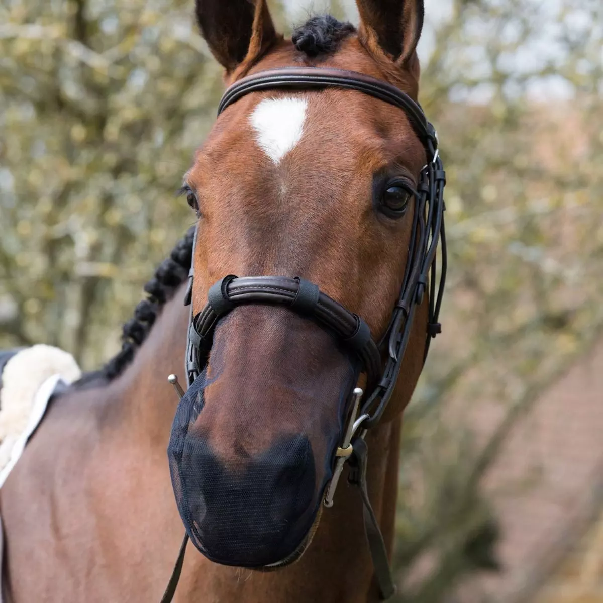 Equilibrium Net Relief Muzzle Net 5 Equilibrium Net Relief Muzzle Net - Image 5