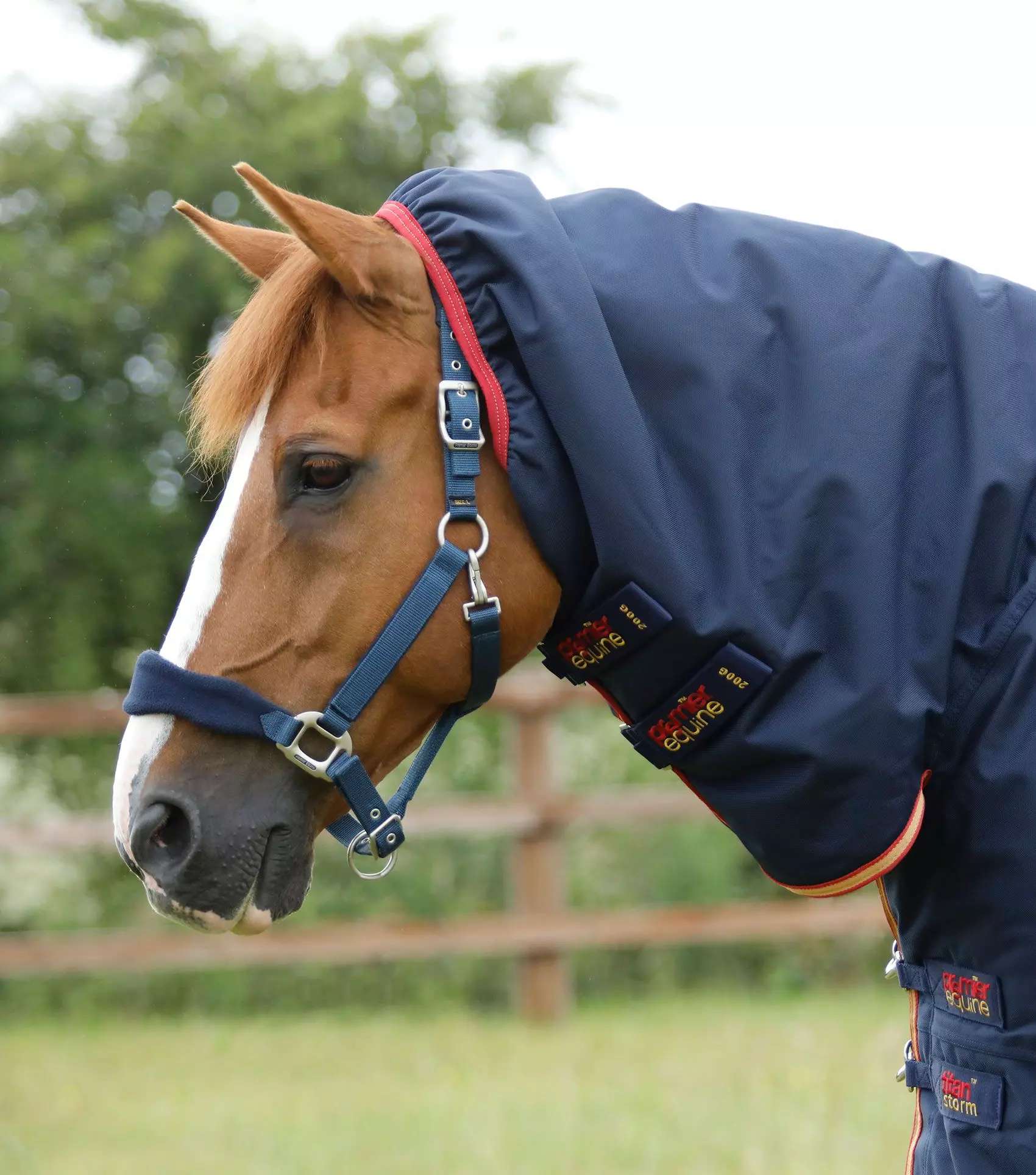 Premier Equine Titan Storm 450g Combo Turnout Rug With Snug-Fit Neck 16 Premier Equine Titan Storm 450g Combo Turnout Rug With Snug-Fit Neck - Image 16