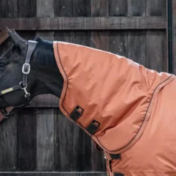 Kentucky Horsewear Turnout Rug Pro Neck Cover 150g 36 Kentucky Horsewear Turnout Rug Pro Neck Cover 150g -Online Equestrian Supplies turnout pro neck cover 150g autumn orange 1 2 jpg