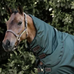 Kentucky Horsewear Turnout Rug Pro Neck Cover 150g 32 Kentucky Horsewear Turnout Rug Pro Neck Cover 150g -Online Equestrian Supplies turnout pro neck cover 150g pine green 2 jpg