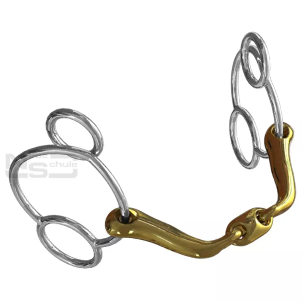 Neue Schule Verbindend Universal 7 Neue Schule Verbindend Universal - Image 7