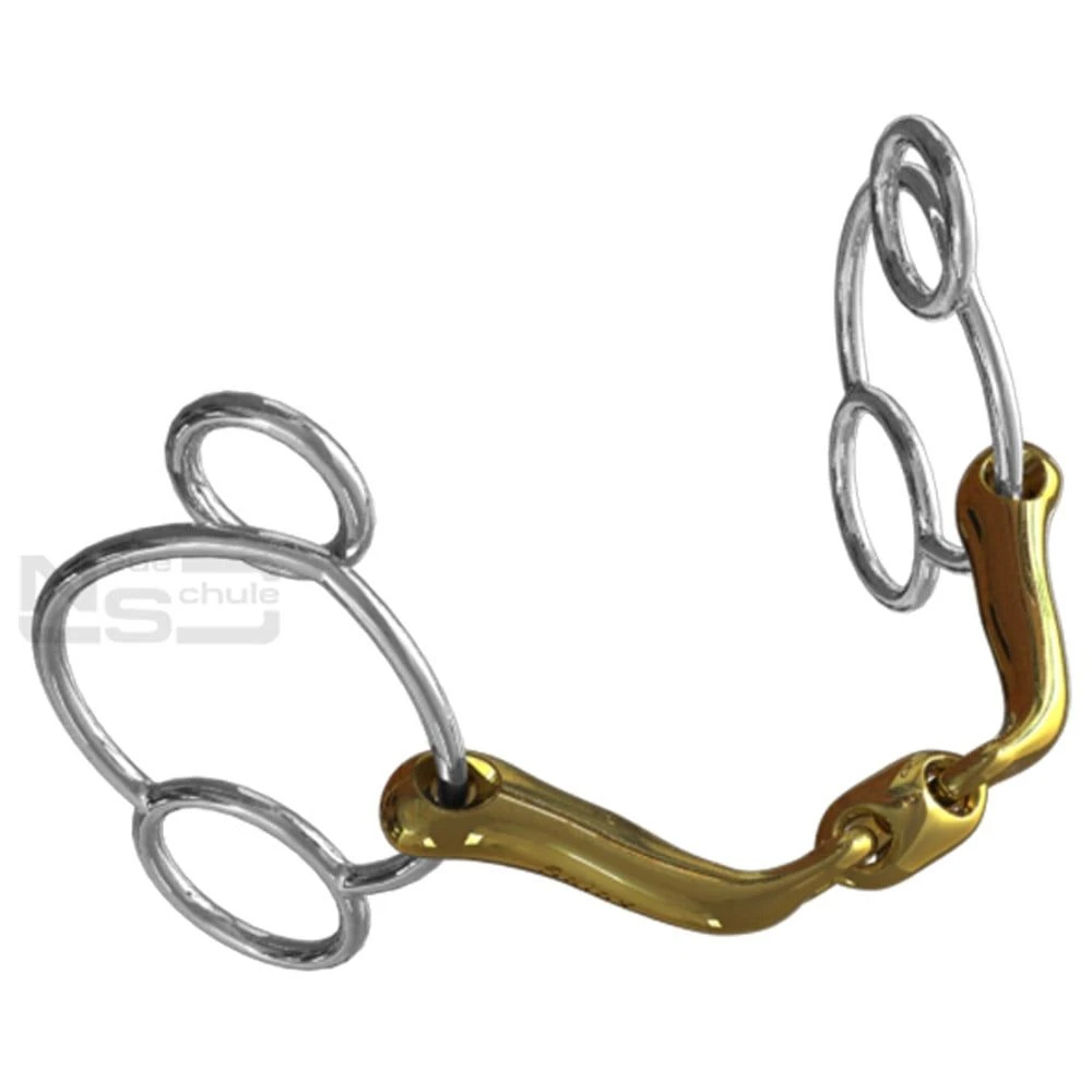 Neue Schule Verbindend Universal 6 Neue Schule Verbindend Universal - Image 6