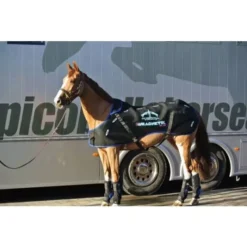 Veredus Magnetik Rug -Online Equestrian Supplies veredus magnetik rug 2 jpg