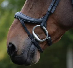 Collegiate ComfiTec Vogue Anatomical Bridle