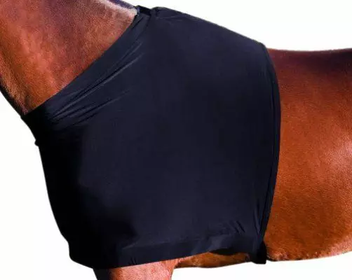 Weatherbeeta Stretch Shoulder Guard 8 Weatherbeeta Stretch Shoulder Guard - Image 8