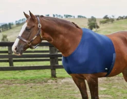 Weatherbeeta Stretch Shoulder Guard 17 Weatherbeeta Stretch Shoulder Guard -Online Equestrian Supplies weatherbeeta stretch shoulder nay 2 jpg