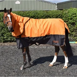 John Whitaker Lutton Turnout Rug Combo 170g Orange